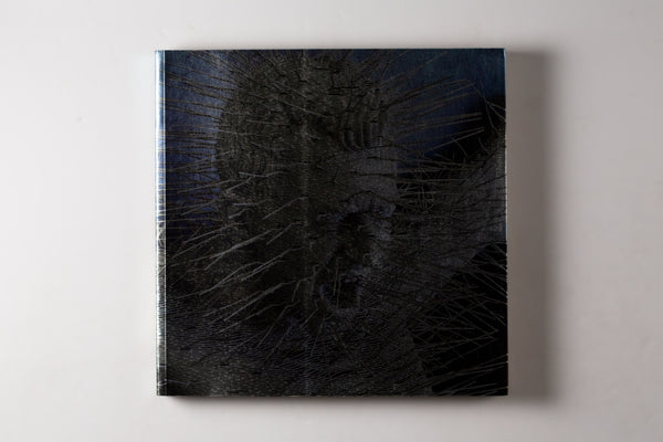 David Mach: Precious Light King James Bible A Celebration 1611-2011