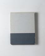 Alison Watt: Phantom
