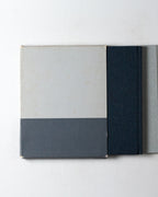 Alison Watt: Phantom