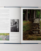 Wall: Andy Goldsworthy