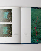 Wall: Andy Goldsworthy