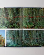 Wall: Andy Goldsworthy