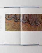 Wall: Andy Goldsworthy