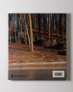 Wall: Andy Goldsworthy