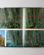 Wall: Andy Goldsworthy