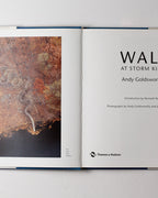 Wall: Andy Goldsworthy