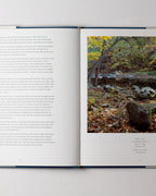 Wall: Andy Goldsworthy