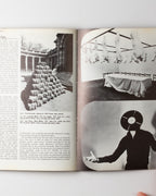 Art In The Seventies