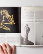 Art In The Seventies