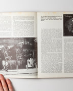 Art In The Seventies