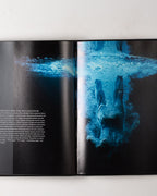 Bill Viola: The Passions