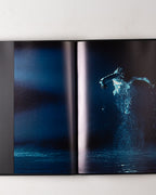 Bill Viola: The Passions