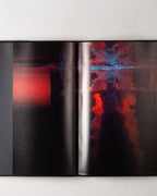 Bill Viola: The Passions