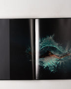 Bill Viola: The Passions