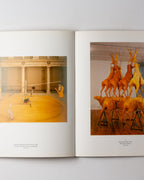 Bruce Nauman: Sculptures Et Installations 1985-1990