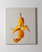 Bruce Nauman: Sculptures Et Installations 1985-1990