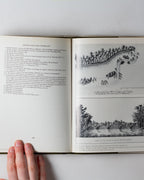 Capability Brown