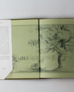 Capability Brown