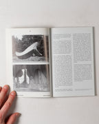 Clog: Unpublished