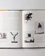 Cut With The Kitchen Knife: The Weimar Photomontages Of Hannah Hoch