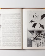 Dada & Surrealism