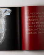David Mach: Precious Light King James Bible A Celebration 1611-2011