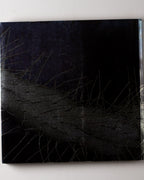 David Mach: Precious Light King James Bible A Celebration 1611-2011