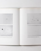 Die Sammlung Marzona: Arte Povera Minimal Art Concept Art Land Art