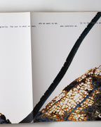 Doug + Mike Starn: Black Pulse 2000-2007
