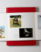 Enzo Plazzotta: A Catalogue Raisonne
