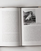 European Vision & The South Pacific