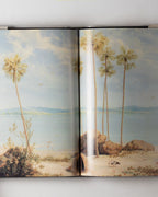 European Vision & The South Pacific