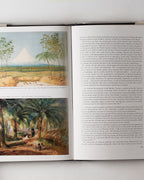 European Vision & The South Pacific