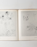 Jackson Pollock: Psychoanalytic Drawings