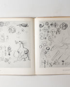 Jackson Pollock: Psychoanalytic Drawings