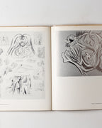 Jackson Pollock: Psychoanalytic Drawings