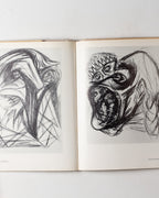 Jackson Pollock: Psychoanalytic Drawings