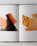 Frank Stella: An Illustrated Biography