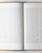 Gerhard Richter: Large Abstracts