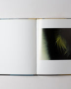 Hans Hartung: Paintings 1960s - 1970s