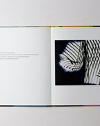Hans Hartung: Paintings 1960s - 1970s