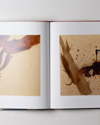 Helen Frankenthaler: Painterly Constellations