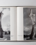 Henry Moore: Complete Sculpture Volume 3 1955-64 (first Edition)