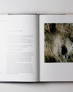 A History Of Pictures: From The Cave To The Computer Screen