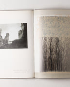 Hommage A Cy Twombly: Warhol, Beuys, Pollock, Kiefer, Rauschenberg, Flavin, Stibbon, Baselitz, Marden, Merz, Long.