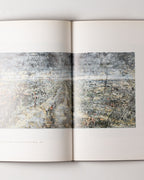 Hommage A Cy Twombly: Warhol, Beuys, Pollock, Kiefer, Rauschenberg, Flavin, Stibbon, Baselitz, Marden, Merz, Long.