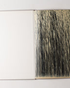 Hommage A Cy Twombly: Warhol, Beuys, Pollock, Kiefer, Rauschenberg, Flavin, Stibbon, Baselitz, Marden, Merz, Long.