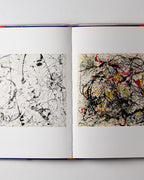 Pollock's America Jackson Pollock In Venice The Irascibles And The New York School