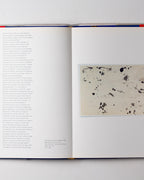 Pollock's America Jackson Pollock In Venice The Irascibles And The New York School