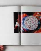 James Rosenquist: Painting As Immersion